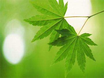 网店推广是怎么推（网店推广，有效提高销量！）